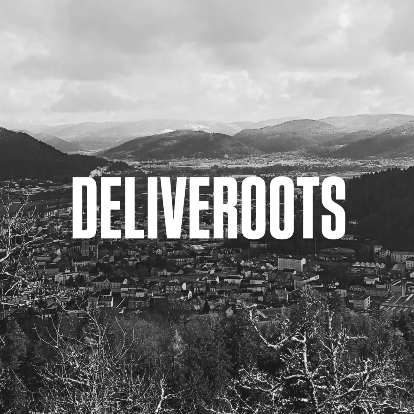 image deliveroots vallée remiremont hautes vosges